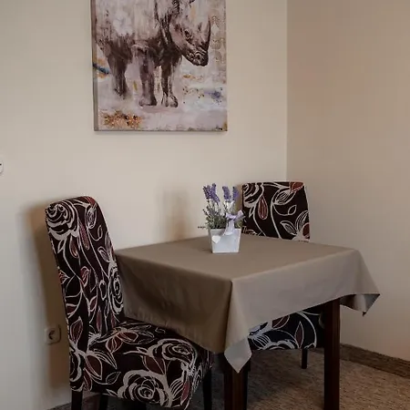 Apartment Apartmani Tome Zadar