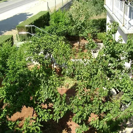 Apartmani Tome Zadar